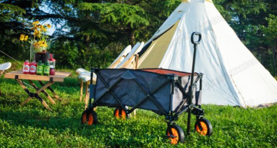 Folding Wagon Hand Shopping Trolley