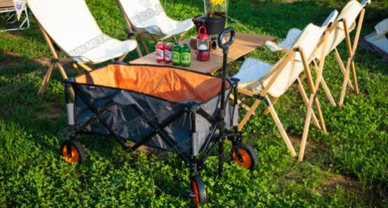 We specialize in manufacturing the hand carts